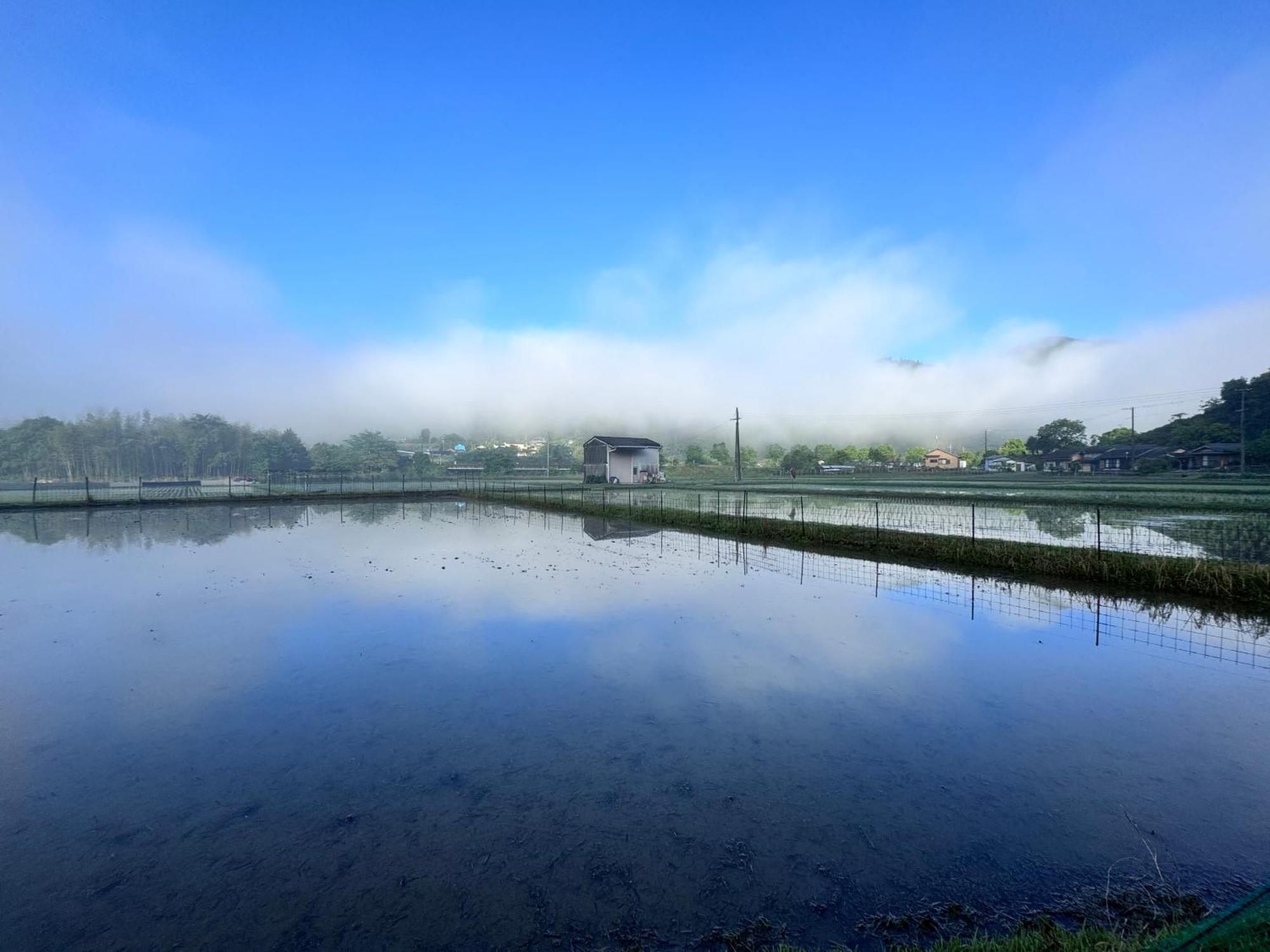 Kumanoyasai Base In Chikatsuyu Villa Tanabe Bagian luar foto